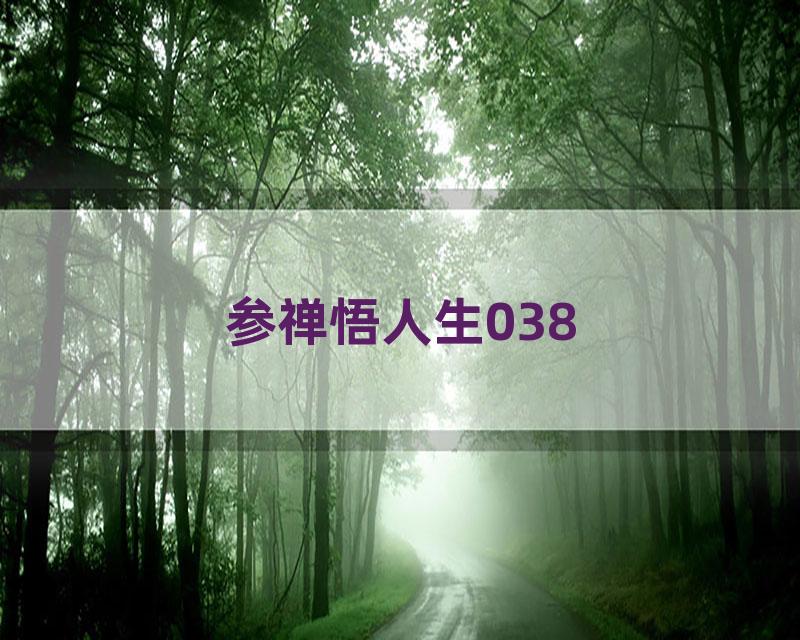 参禅悟人生038