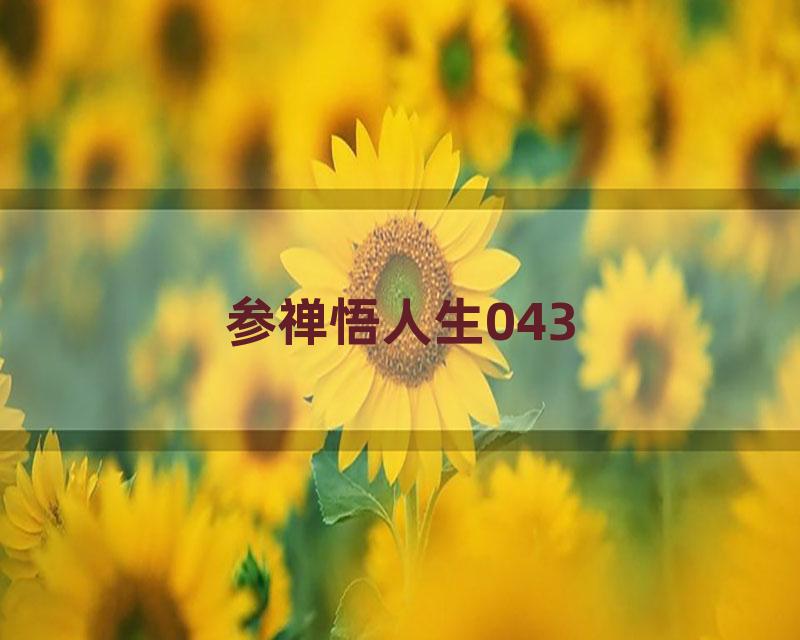 参禅悟人生043