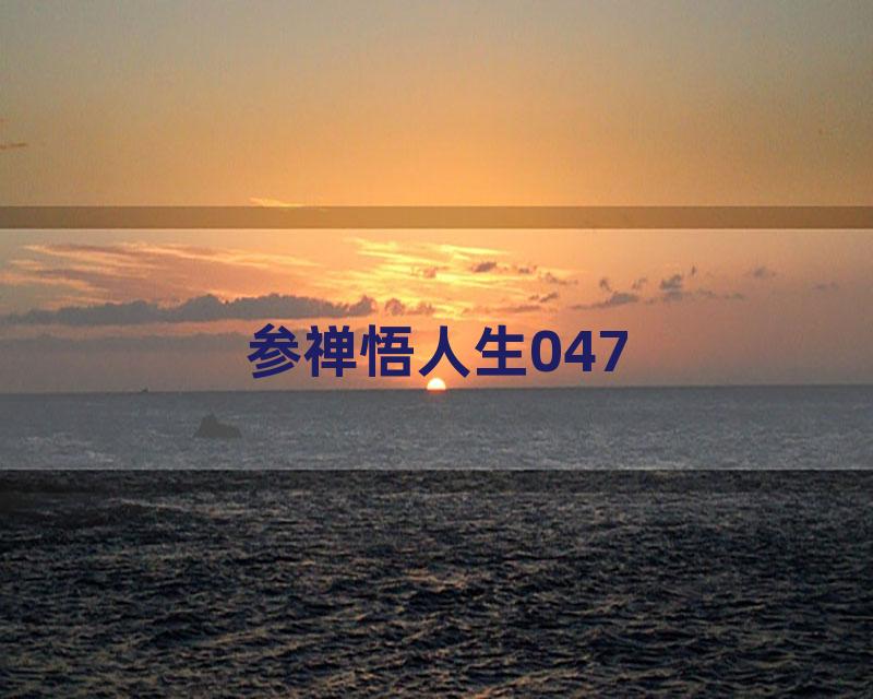 参禅悟人生047