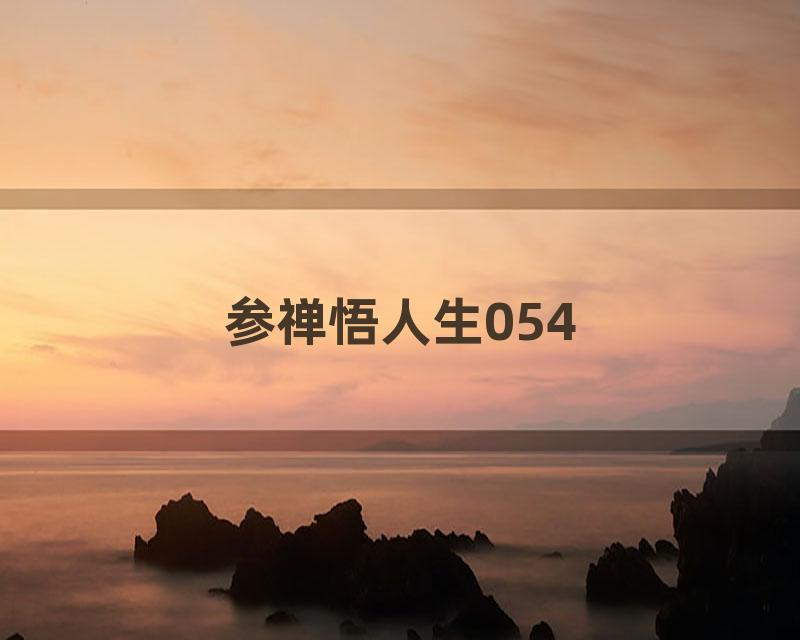 参禅悟人生054