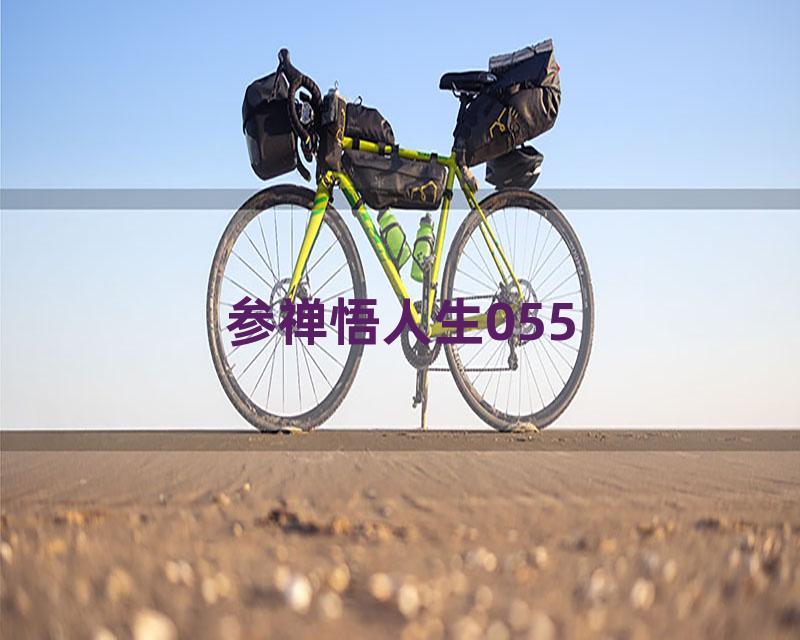 参禅悟人生055