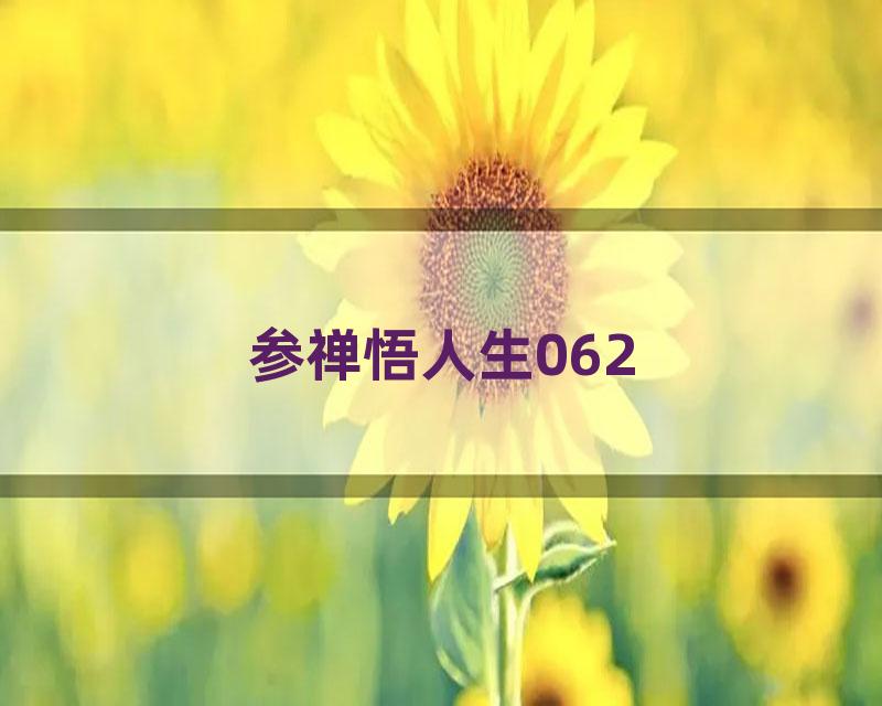参禅悟人生062