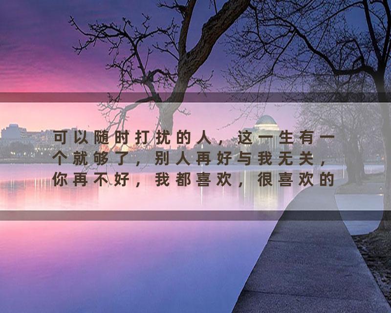 可以随时打扰的人，这一生有一个就够了，别人再好与我无关，你再不好，我都喜欢，很喜欢的一句话，我很忙，但只要是…