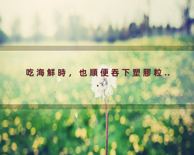 吃海鮮時，也順便吞下塑膠粒...