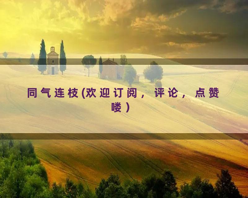 同气连枝(欢迎订阅，评论，点赞喽）