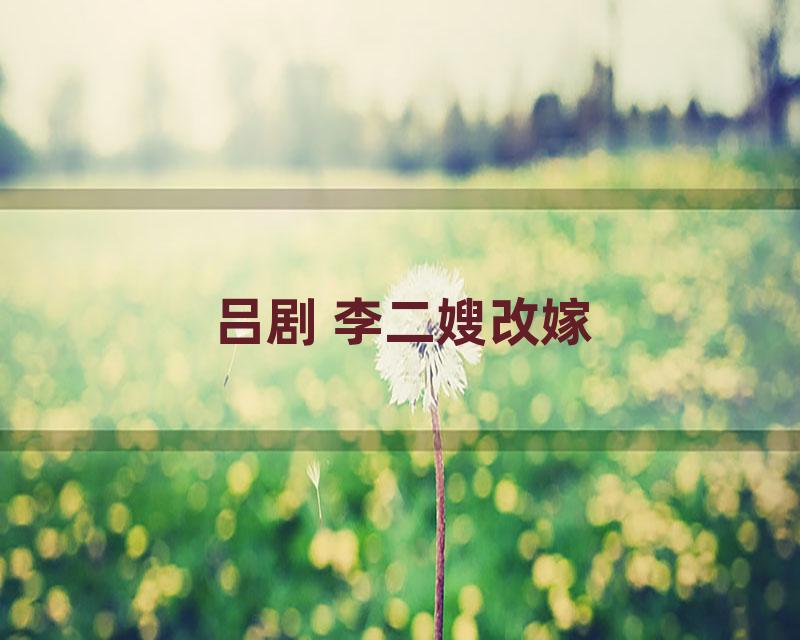 吕剧 李二嫂改嫁