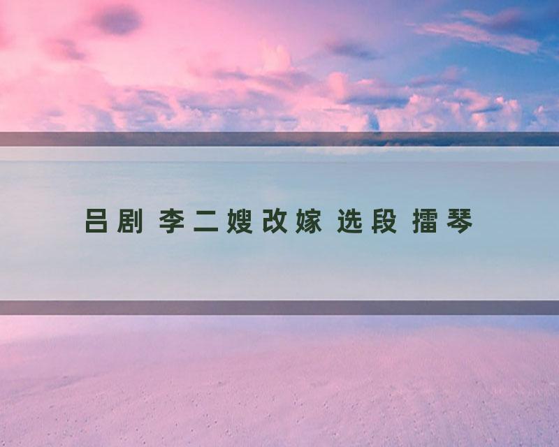 吕剧 李二嫂改嫁 选段 擂琴