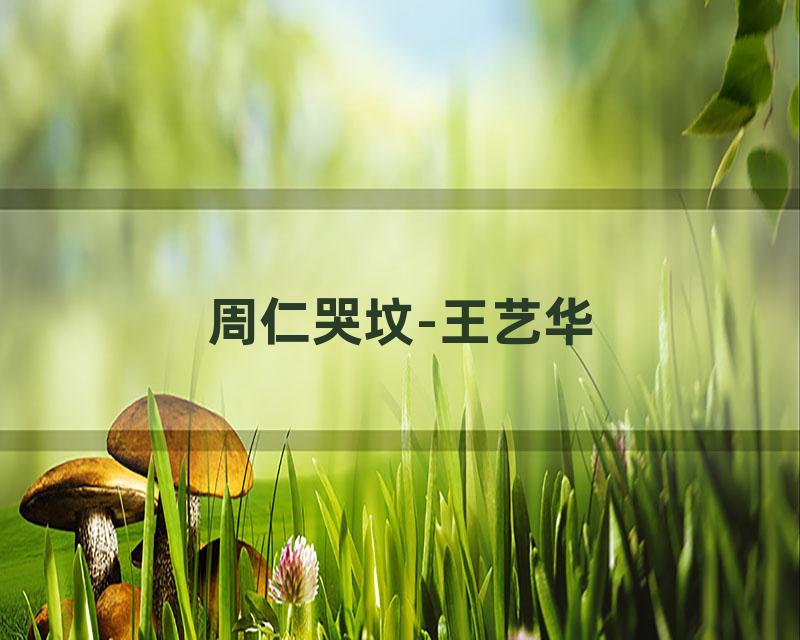 周仁哭坟-王艺华