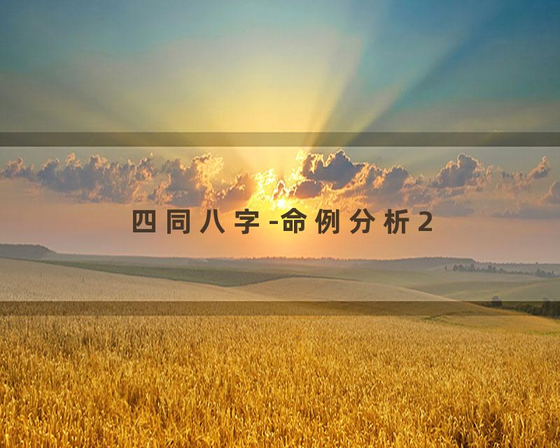四同八字-命例分析2
