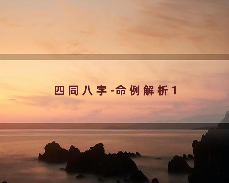 四同八字-命例解析1