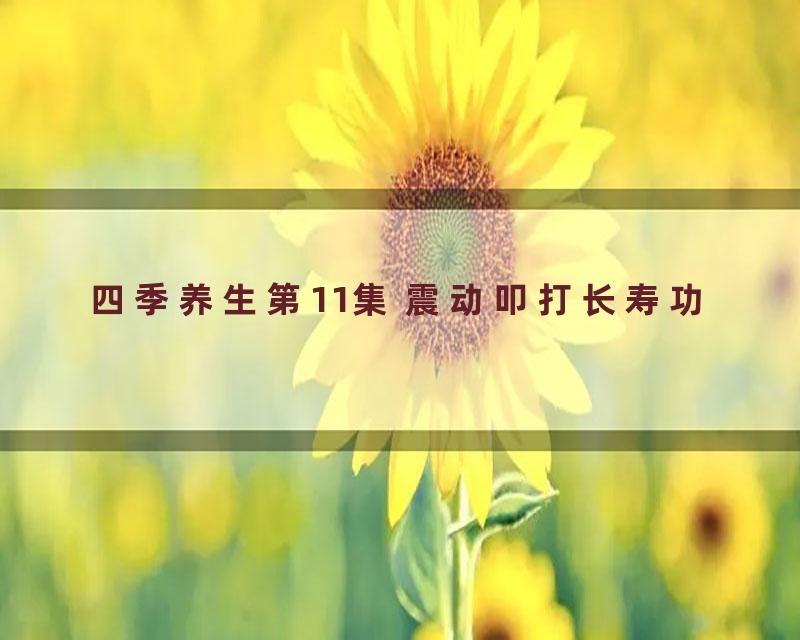 四季养生第11集 震动叩打长寿功
