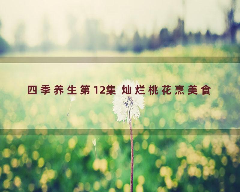 四季养生第12集 灿烂桃花烹美食
