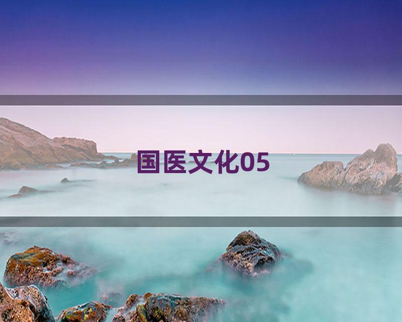 国医文化05