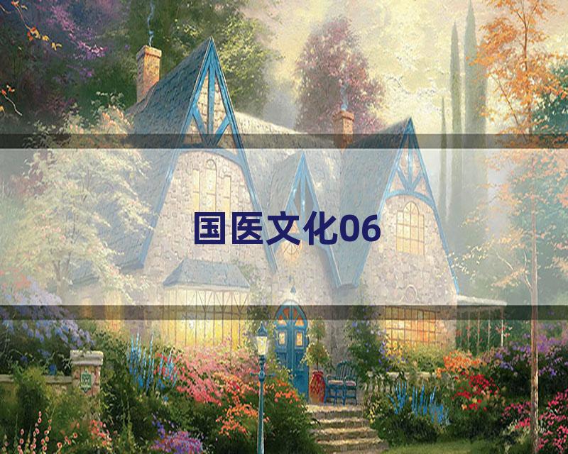 国医文化06