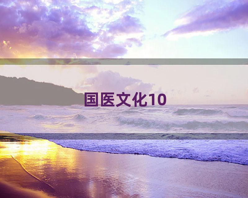 国医文化10