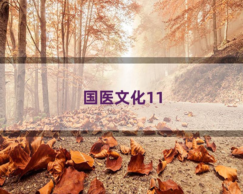 国医文化11