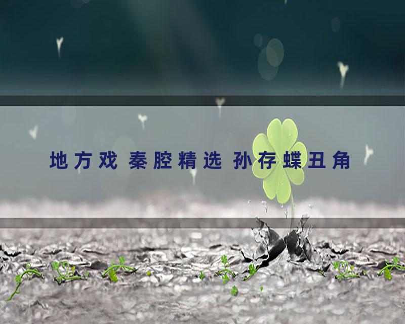地方戏 秦腔精选 孙存蝶丑角