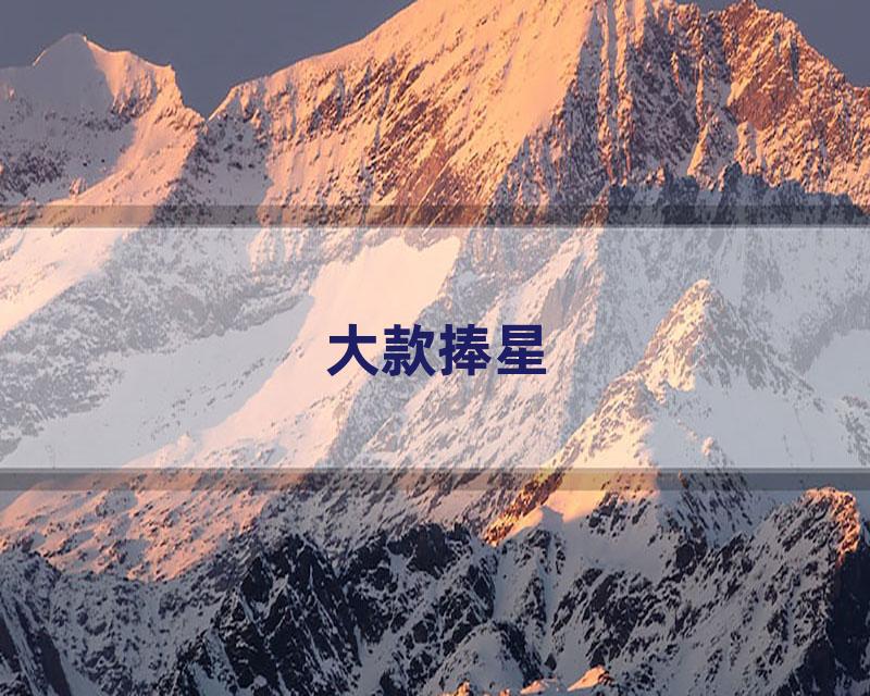 大款捧星