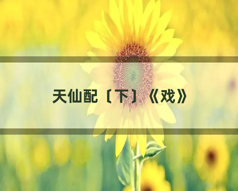 天仙配〔下〕《戏》