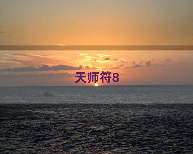 天师符8