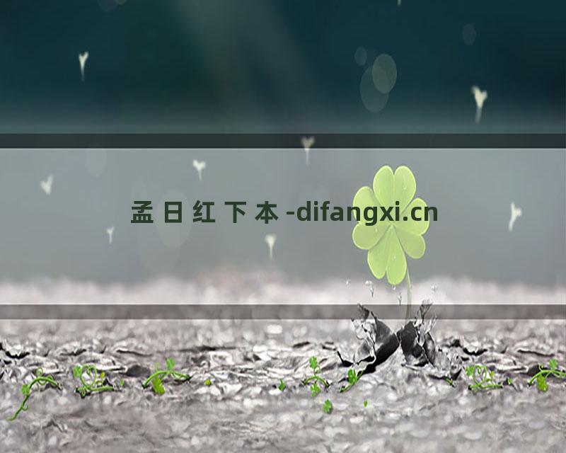 孟日红下本-