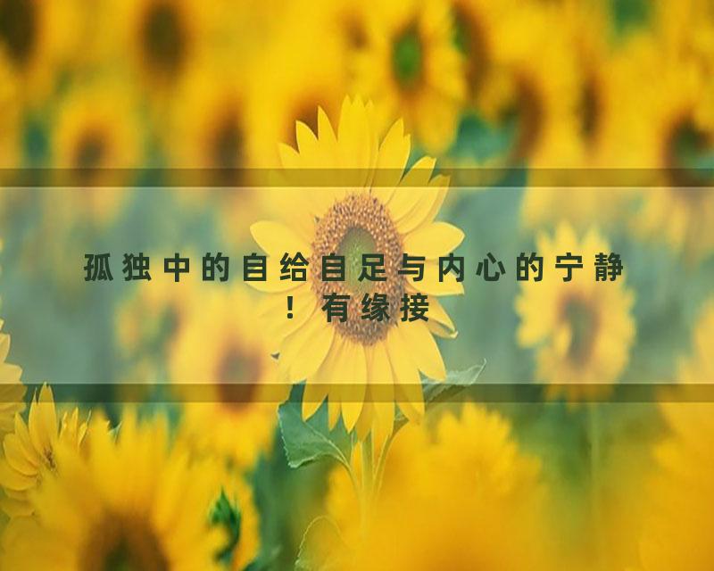 孤独中的自给自足与内心的宁静！有缘接