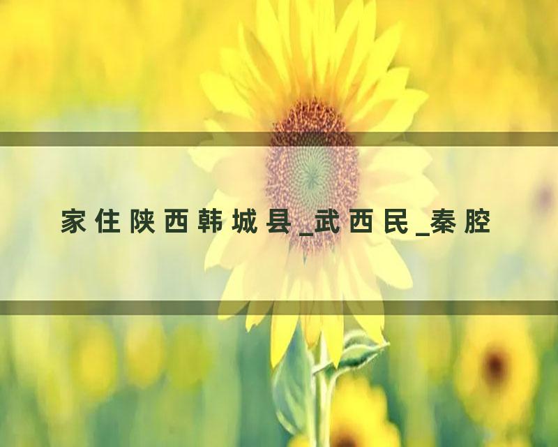 家住陕西韩城县_武西民_秦腔