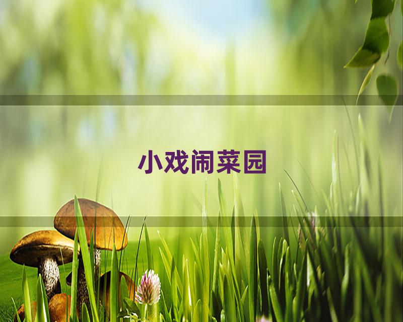 小戏闹菜园