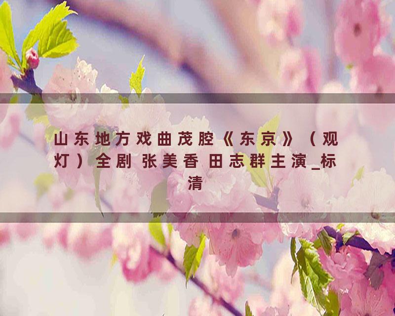 山东地方戏曲茂腔《东京》（观灯）全剧 张美香 田志群主演_标清