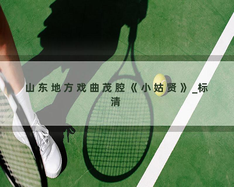 山东地方戏曲茂腔《小姑贤》_标清