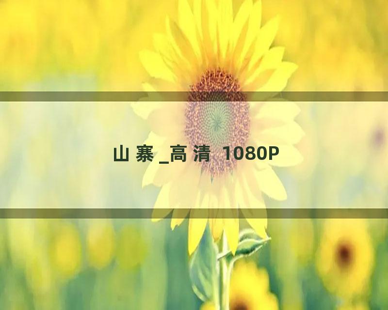山寨_高清 1080P
