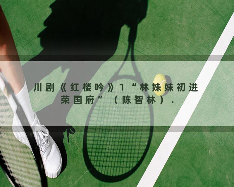 川剧《红楼吟》1 “林妹妹初进荣国府”（陈智林）.