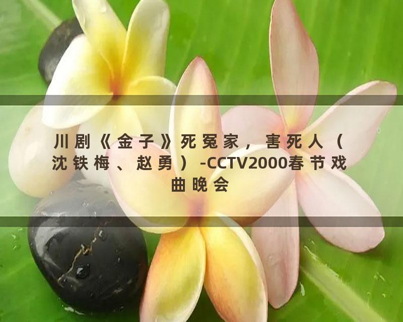 川剧《金子》死冤家，害死人（沈铁梅、赵勇）-CCTV2000春节戏曲晚会