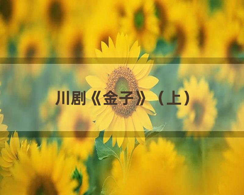 川剧《金子》（上）