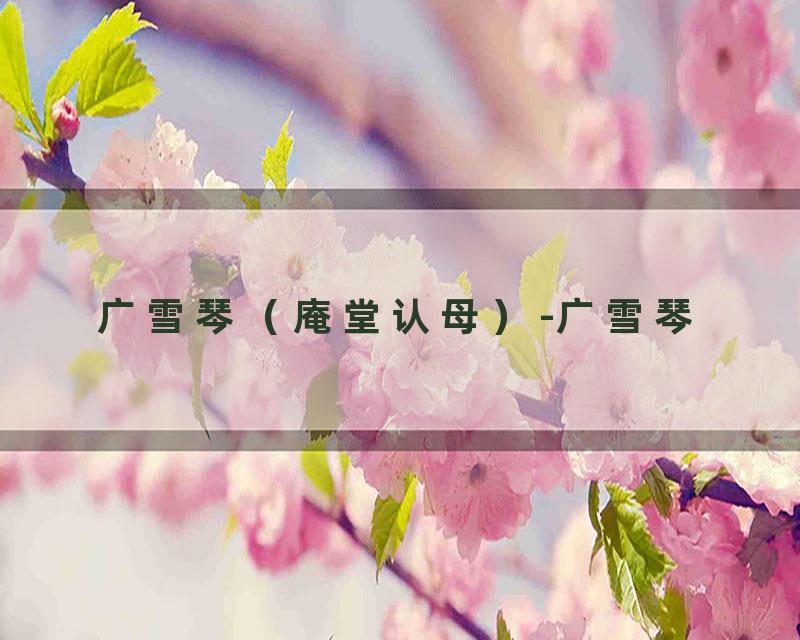 广雪琴（庵堂认母）-广雪琴