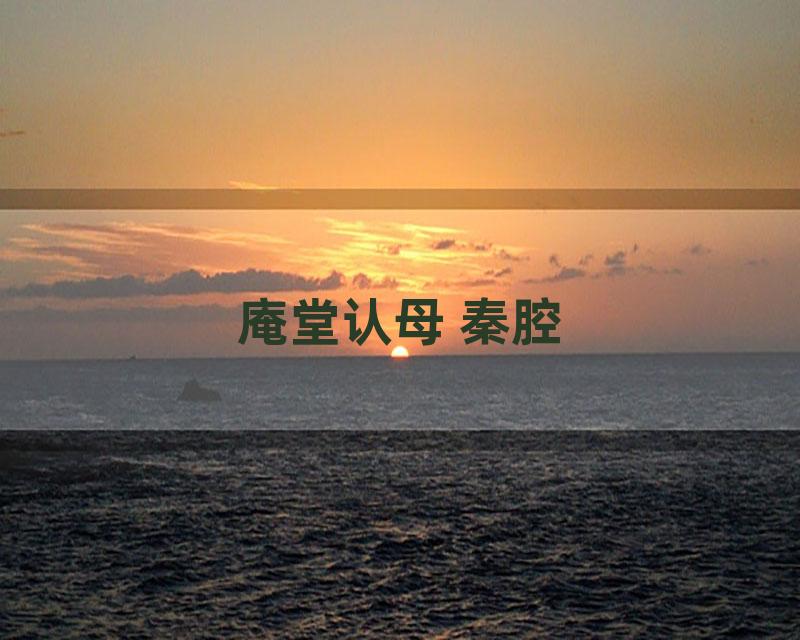 庵堂认母 秦腔