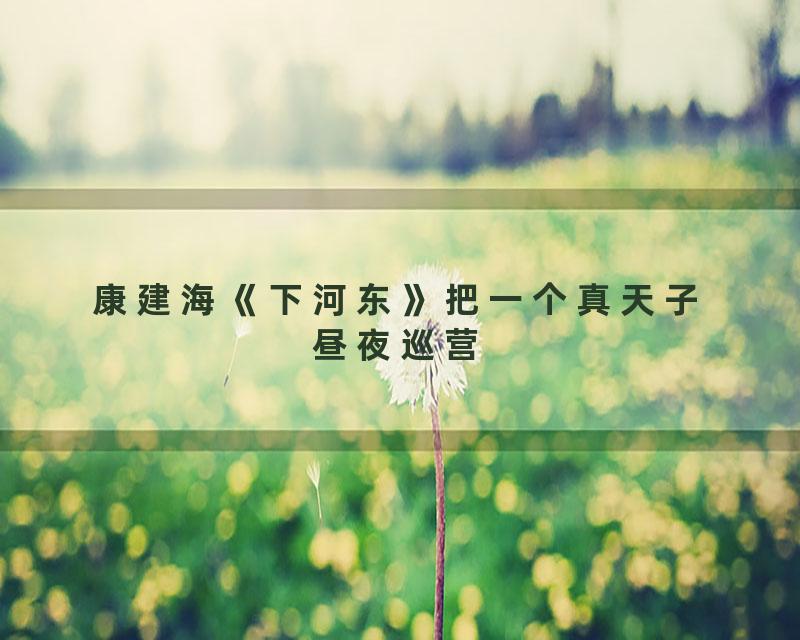 康建海《下河东》把一个真天子昼夜巡营