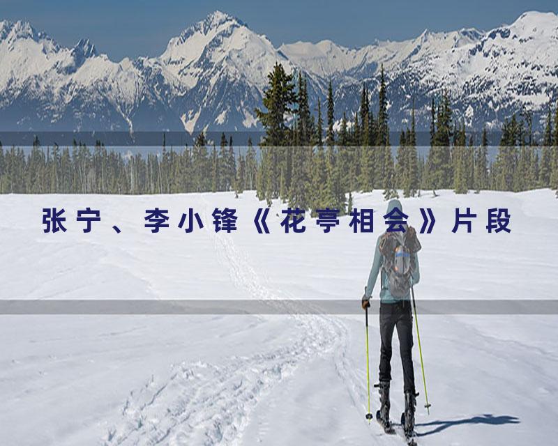 张宁、李小锋《花亭相会》片段