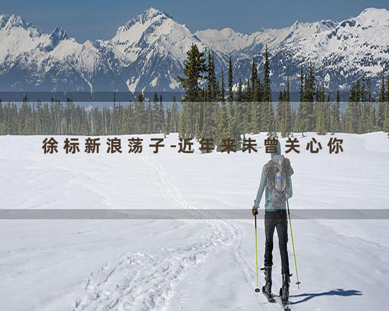 徐标新浪荡子-近年来未曾关心你