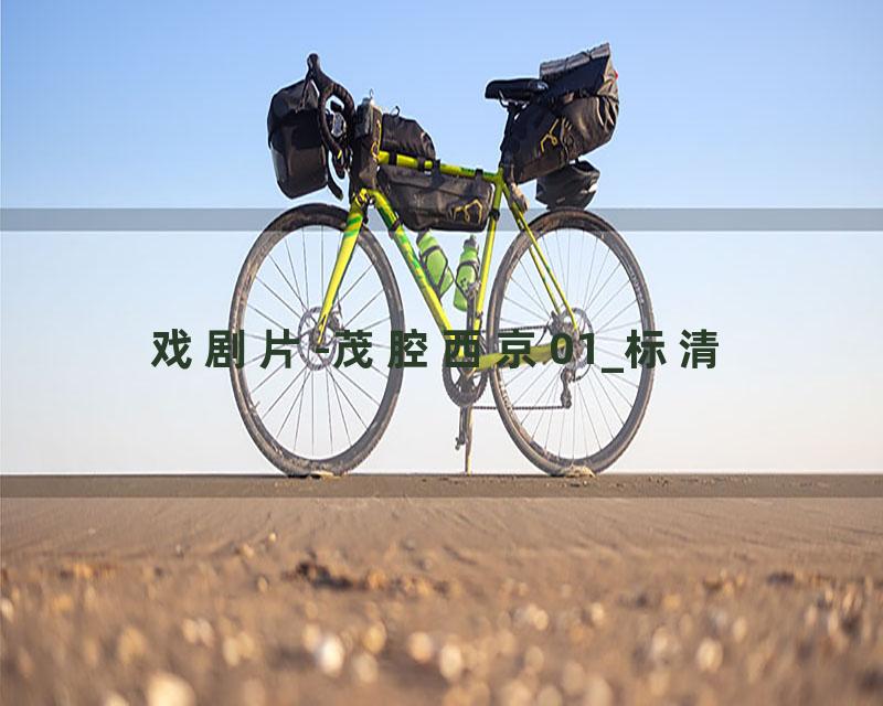 戏剧片-茂腔西京01_标清