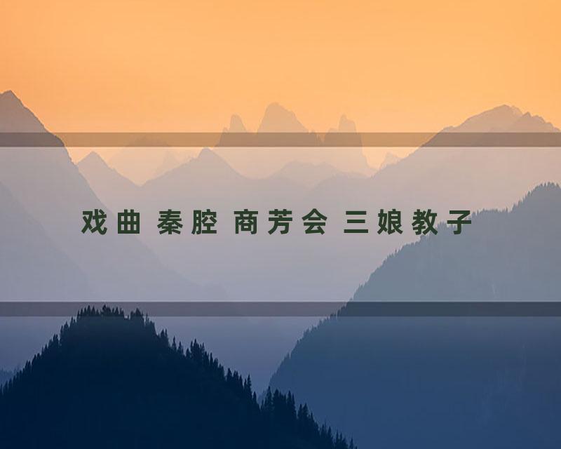 戏曲 秦腔 商芳会 三娘教子