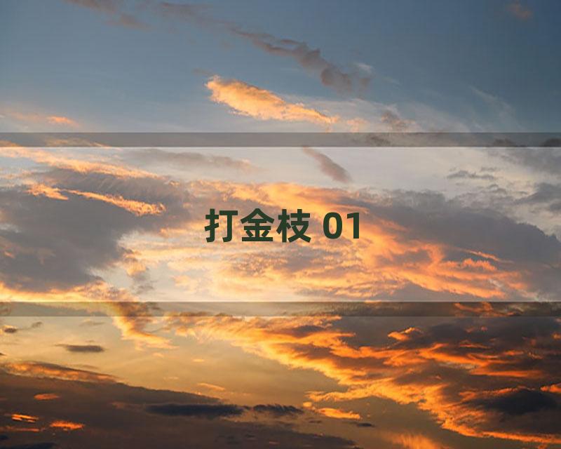 打金枝 01