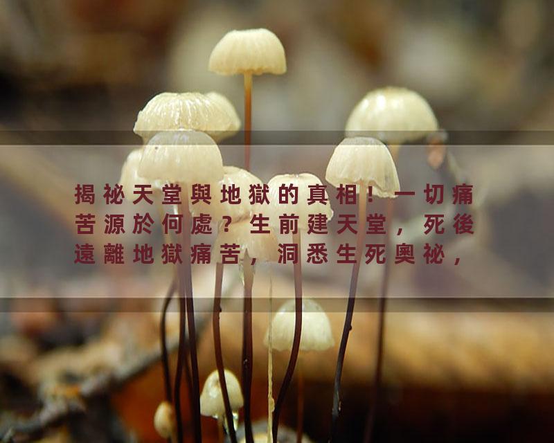 揭祕天堂與地獄的真相！一切痛苦源於何處？生前建天堂，死後遠離地獄痛苦，洞悉生死奧祕，修行自我，追尋靈魂的真正歸宿。