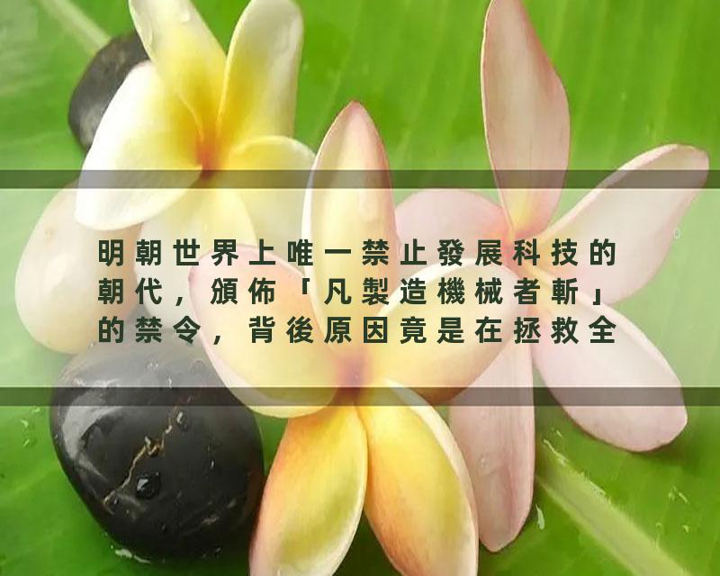 明朝世界上唯一禁止發展科技的朝代，頒佈「凡製造機械者斬」的禁令，背後原因竟是在拯救全人類，隨着近現代科技的發展，…