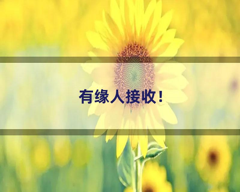 有缘人接收！