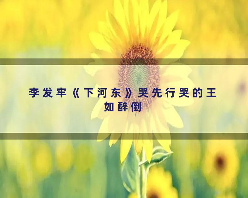 李发牢《下河东》哭先行哭的王如醉倒