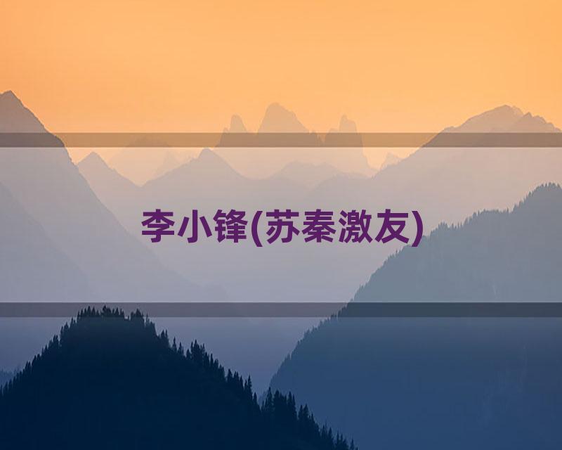 李小锋(苏秦激友)