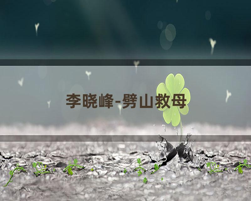 李晓峰-劈山救母