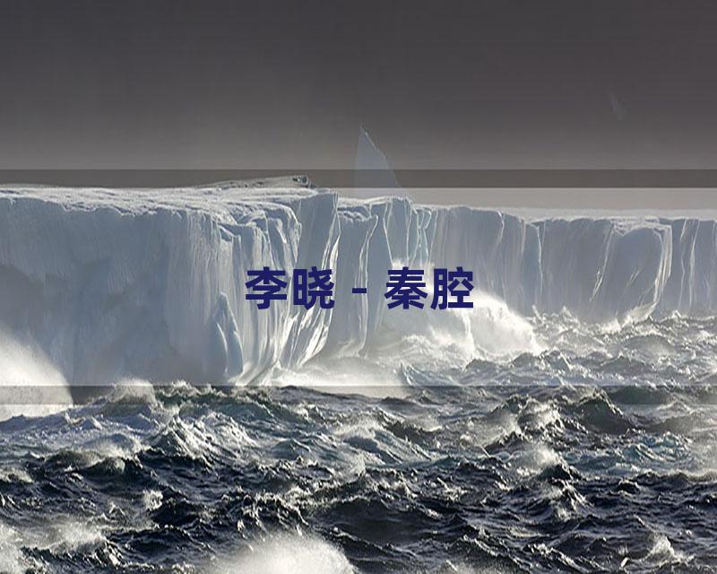 李晓 - 秦腔