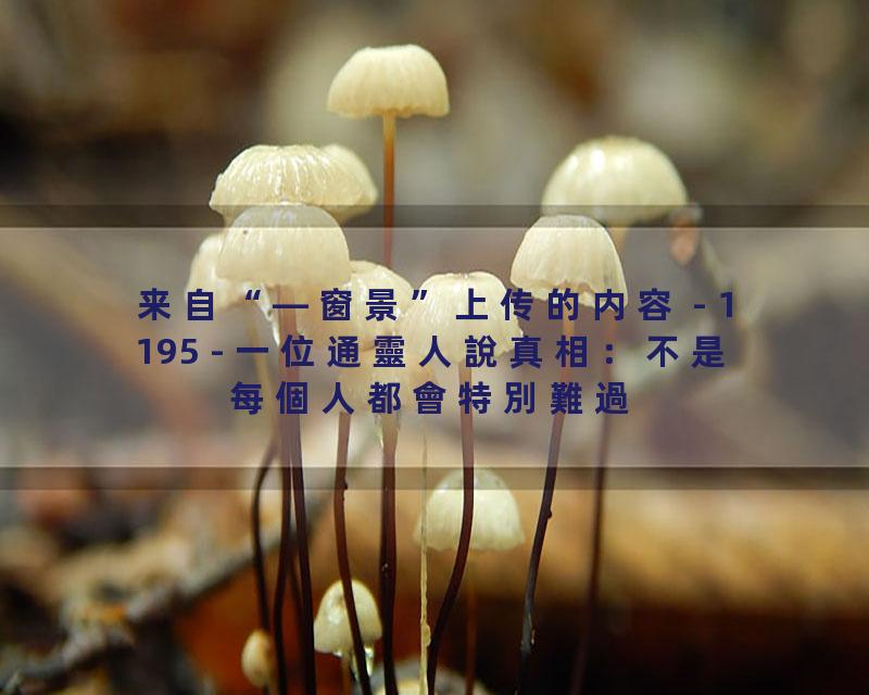 1195 - 一位通靈人說真相：不是每個人都會特別難過的，對往生的親人！原來是「這個原因」才會！